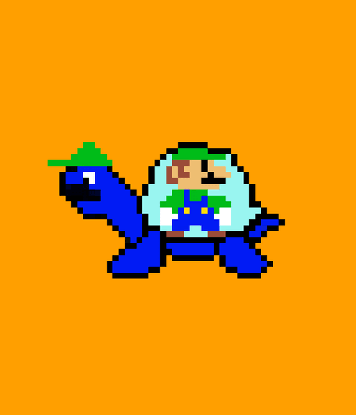 Tiny Turtle #117