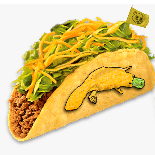 Taco Platypus