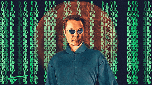 Musk in the Bittrix #8/20