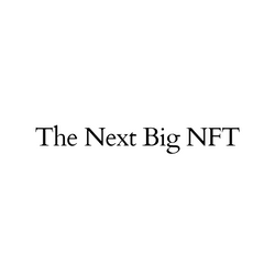 The Next Big NFT collection image
