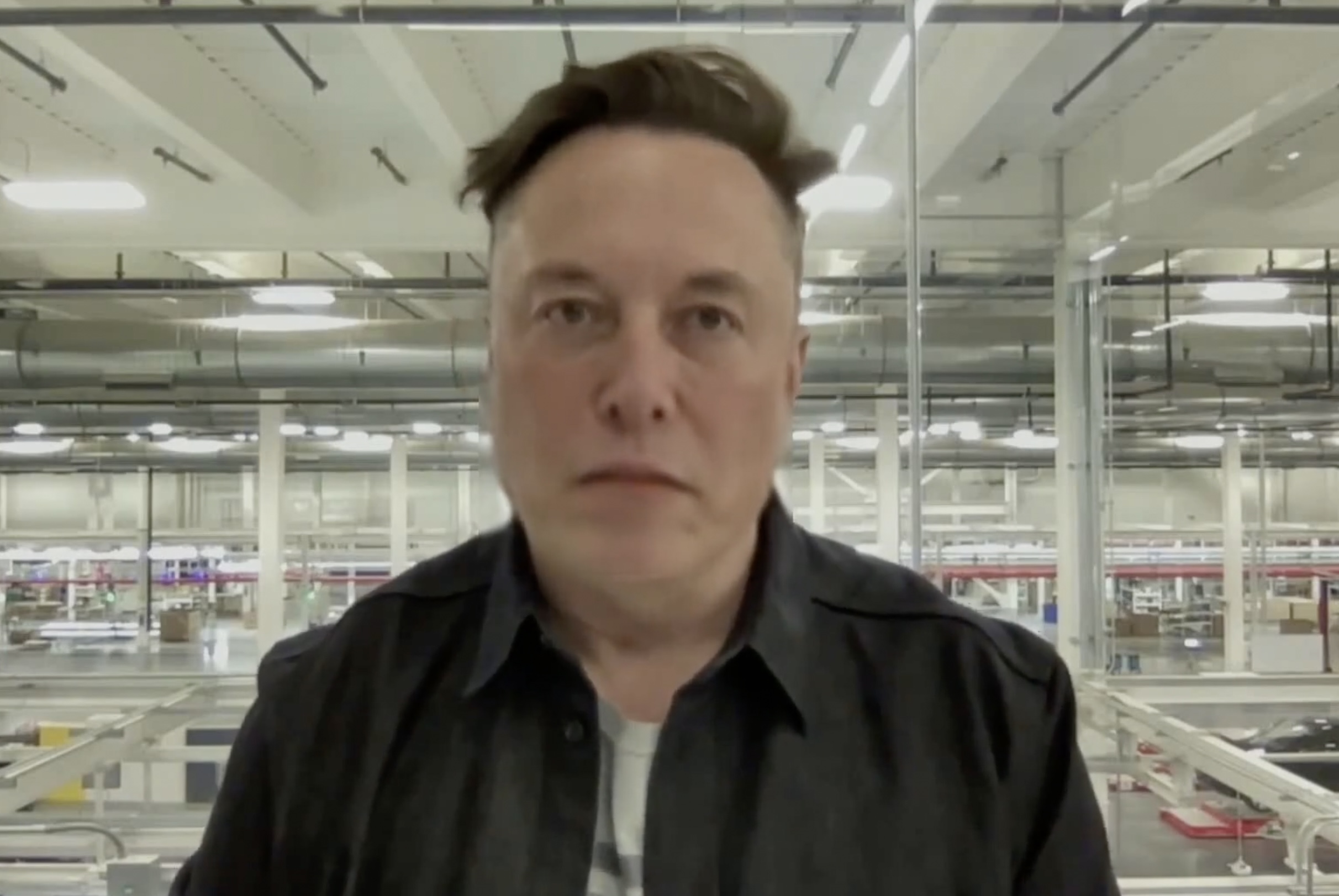 Elon Musk & the Conspiratopia Project NFT + DAO membership