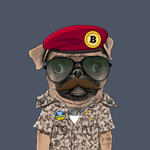 Pug #0034