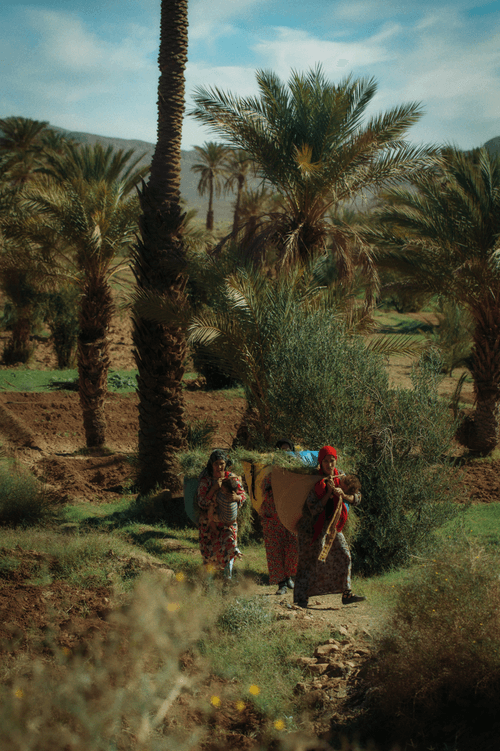 Amazigh Land #38