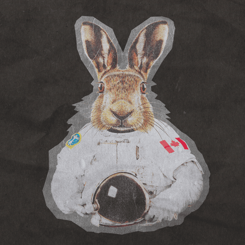 Rabbit Hole NFT