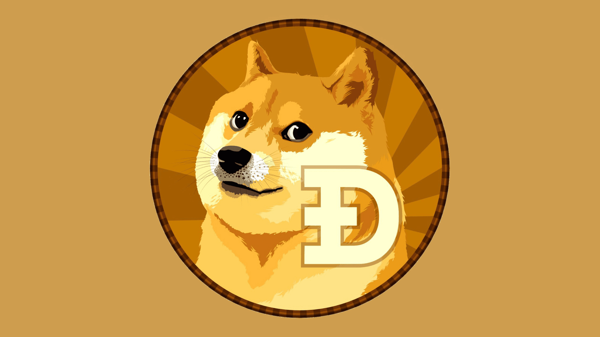 Dogeer - Collection | OpenSea