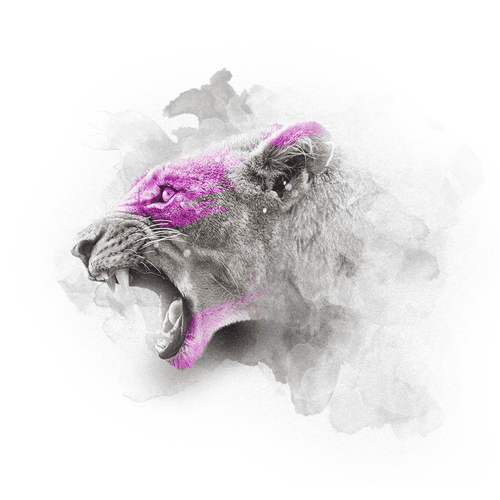 PINK SERIES - LIONESS