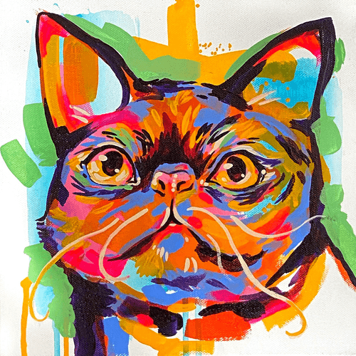kitteths