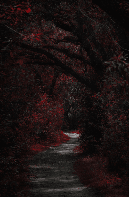 Crimson Way