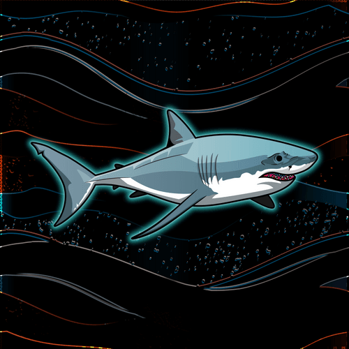 Fish #16 - C. Carcharias 'Great White Shark'