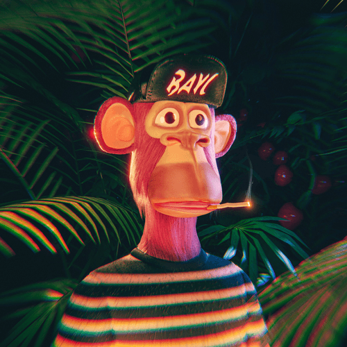 Rumble in the Jungle