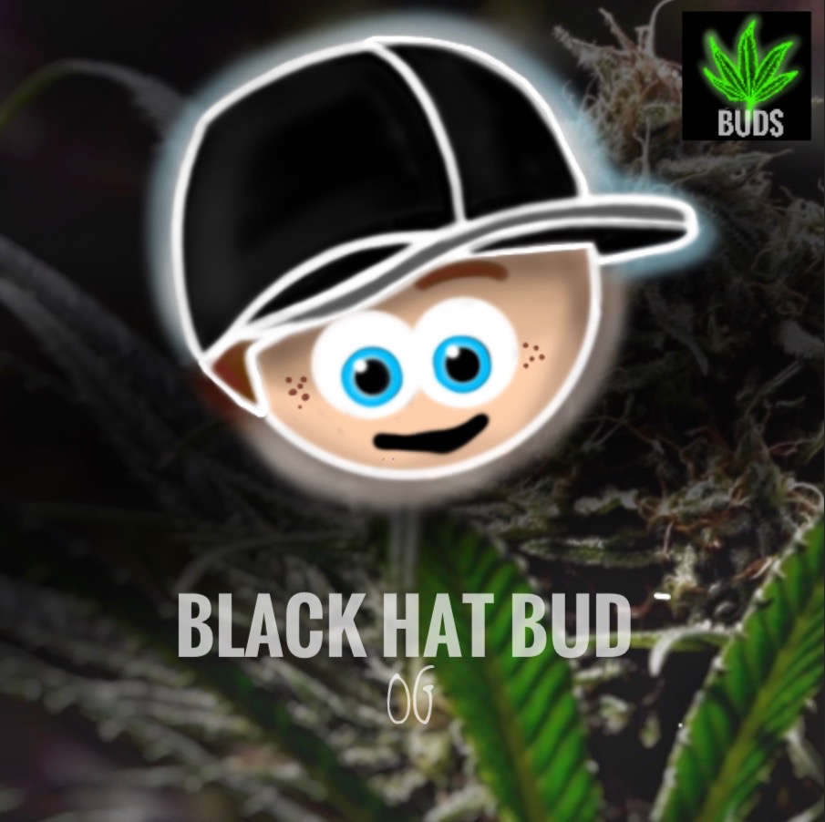 #502 BLACK HAT BUD OG