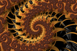 Fractal Ally collection image