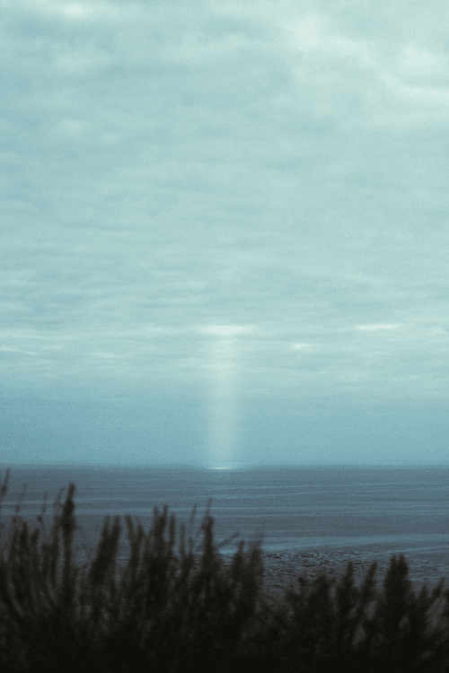 Landscapes of my mind