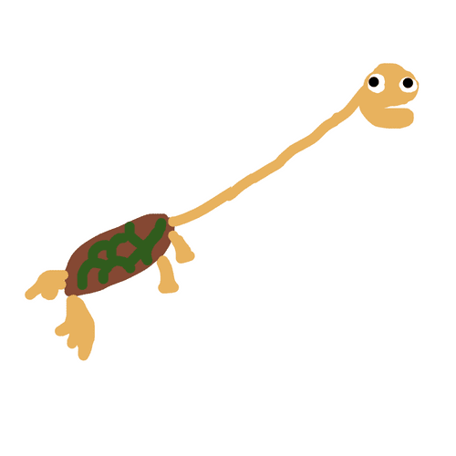 Long Neck Turtle