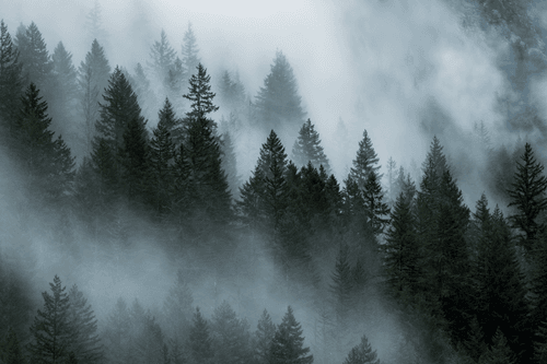 Cascade Clouds