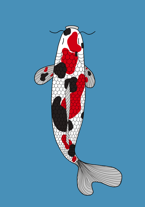 Koi Collection #1