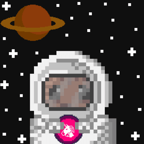 Cryptohamsters Cosmonaut #4207 Uniswap Gold Edition