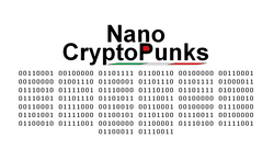 NanoCryptoPunks collection image