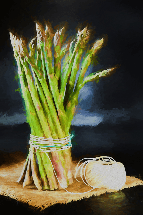Still Life With Asparagus
