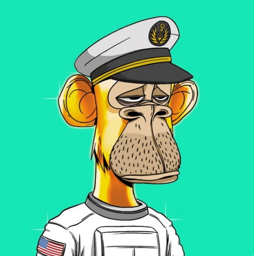 RR Bored Ape Yacht Club