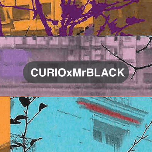 CURIOxMrBLACK