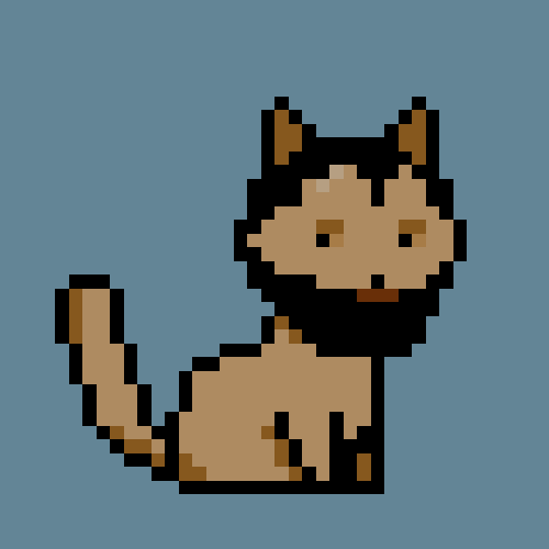 PunkCat #102