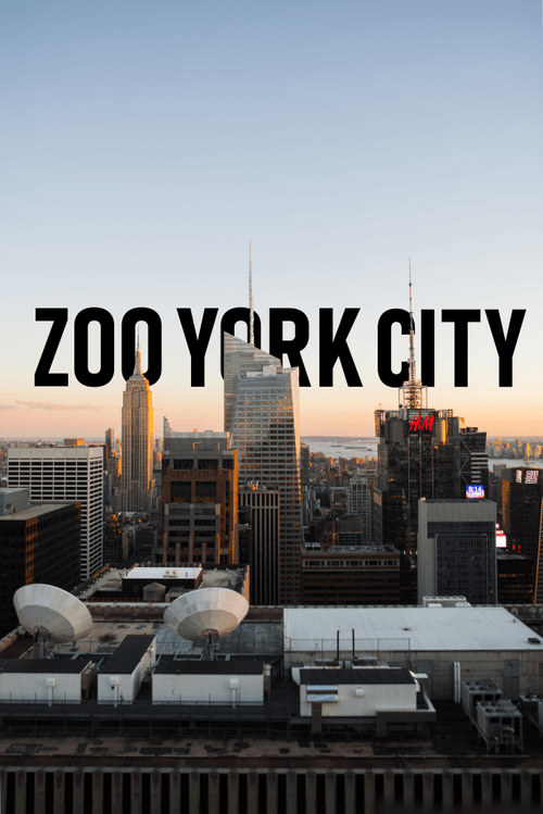 Zoo York City