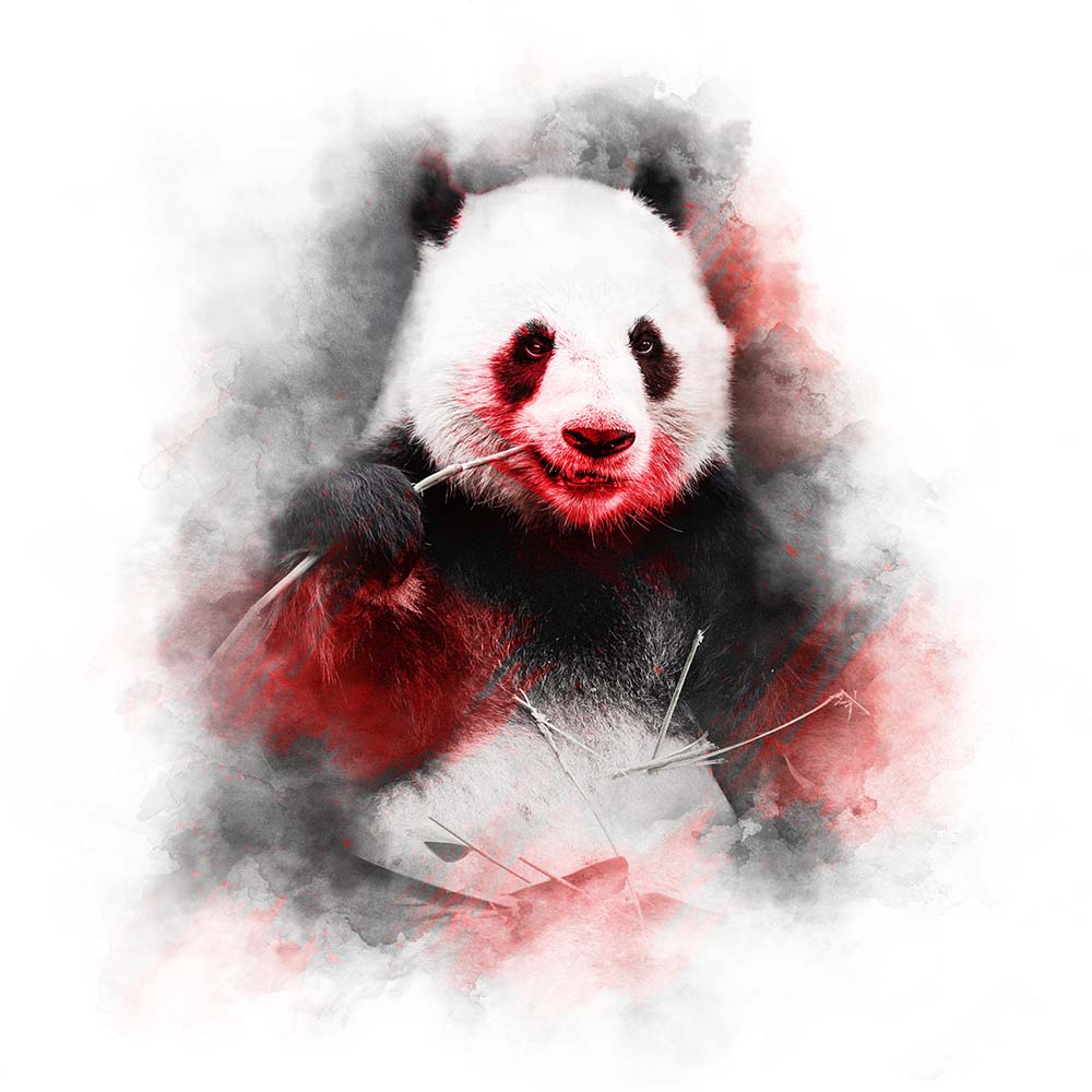 RED SERIES - PANDA