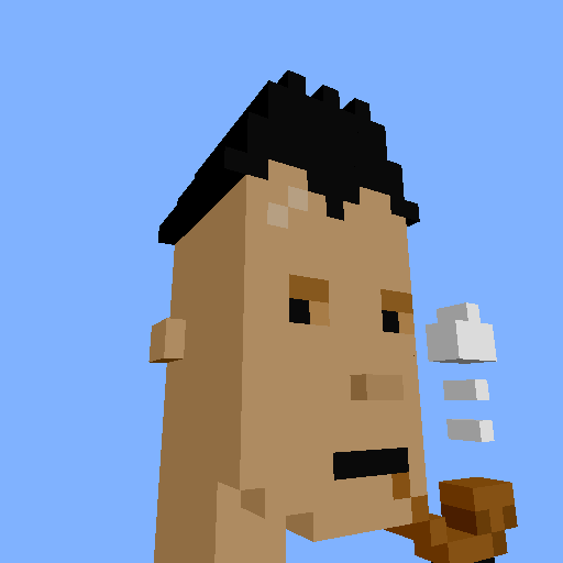 PunkVoxels #3248