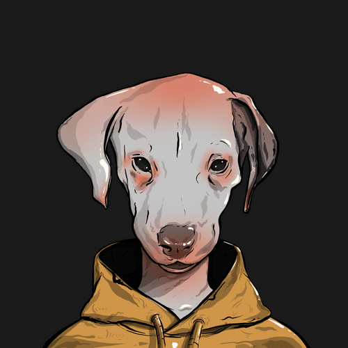 Mr.Yung