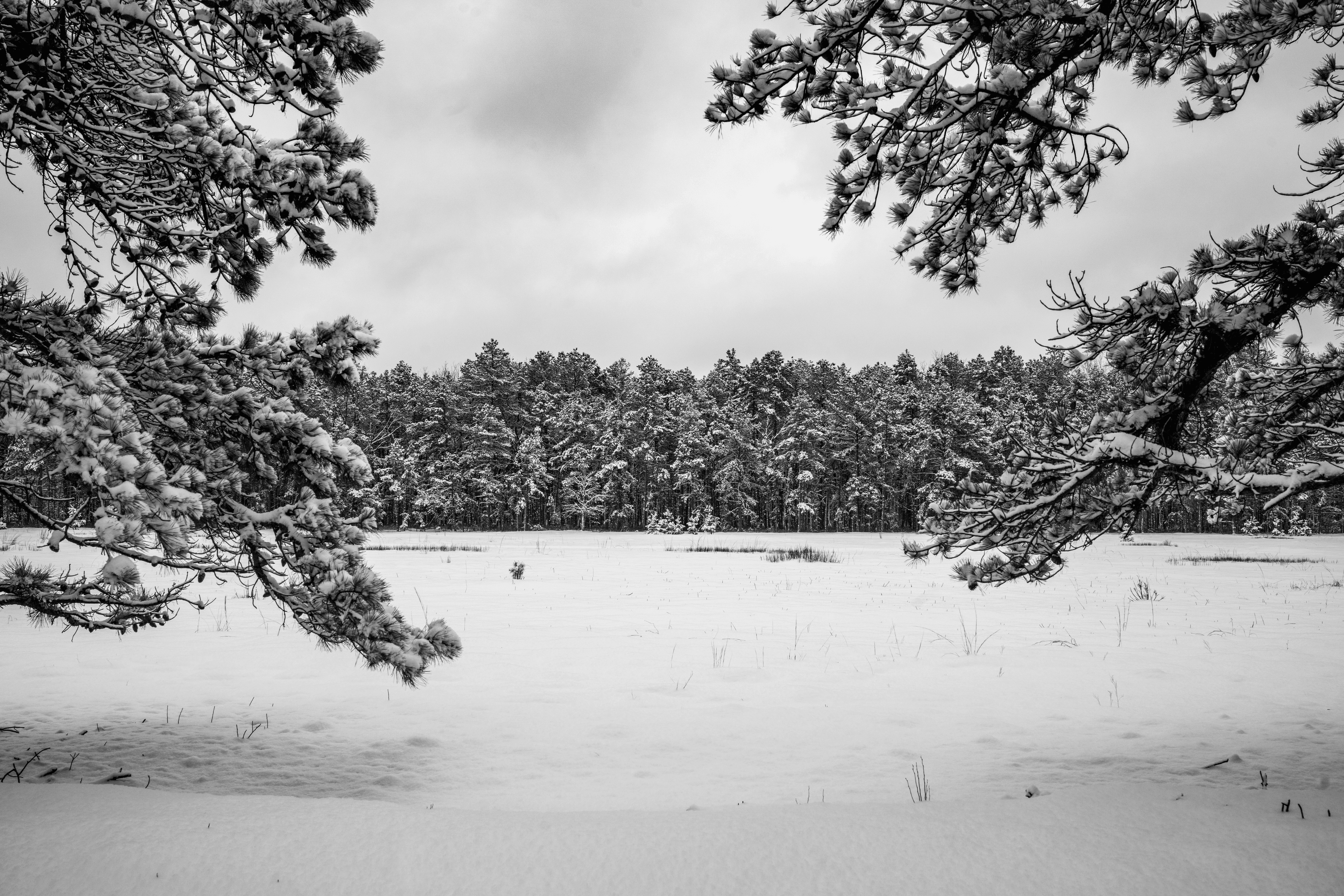 Snowy Frozen Lake in New Jersey by Dennis Maida