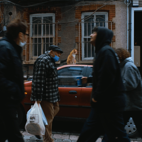 CityGraphy