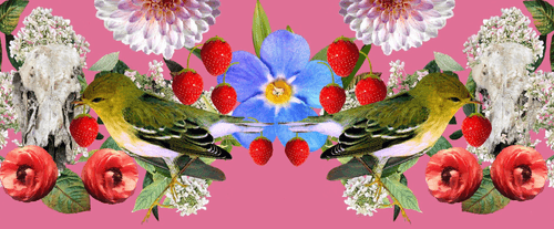 The Strawberry Thieves Banner 6