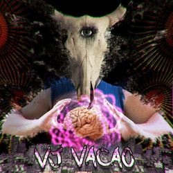 Vacao VJ collection image