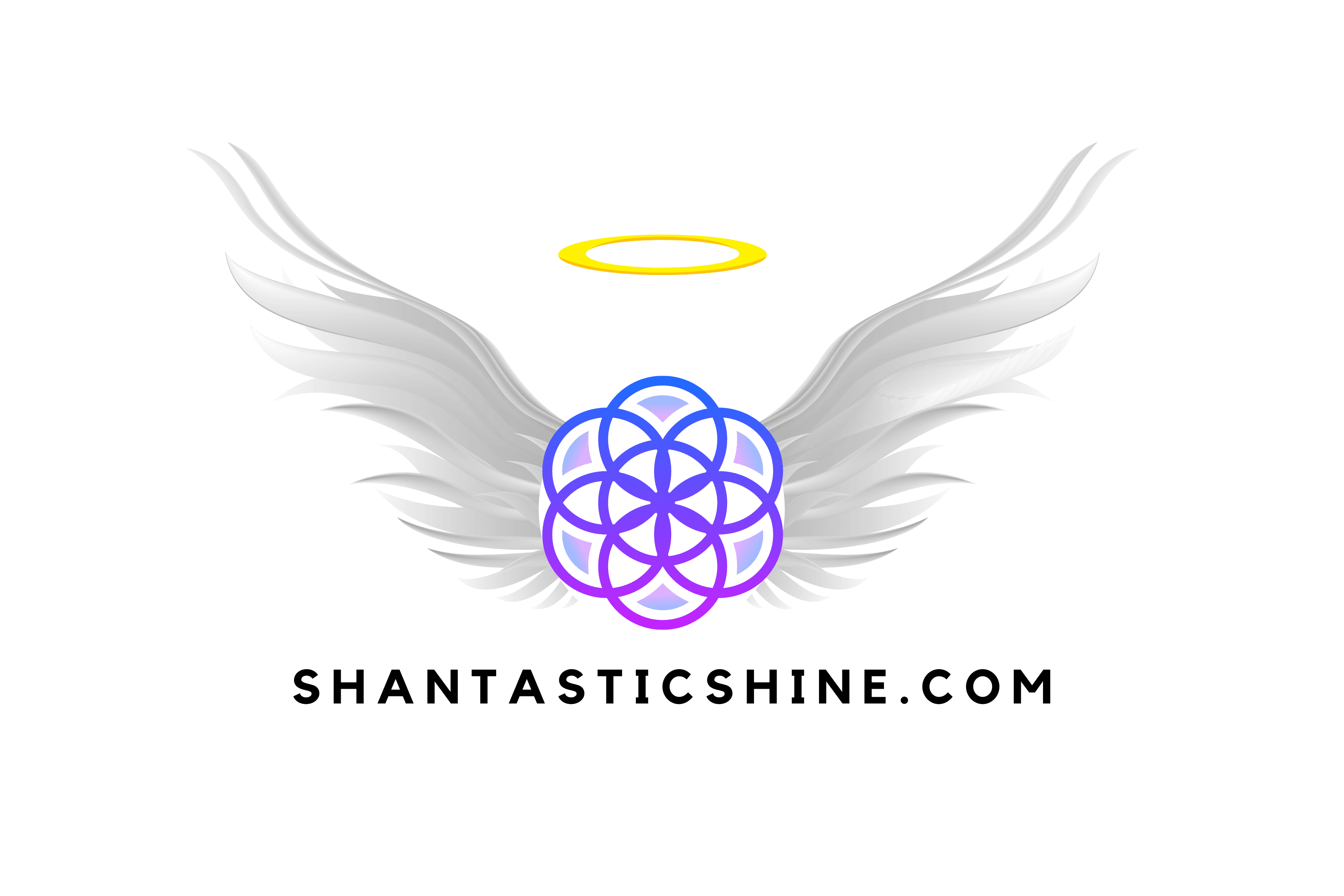 ShantasticShine