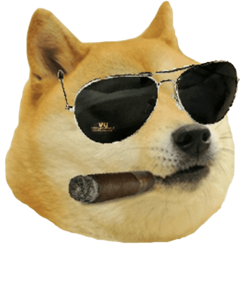 Urban City Doge and the AMC Apes