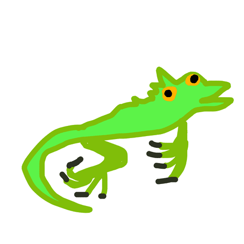 Iguana