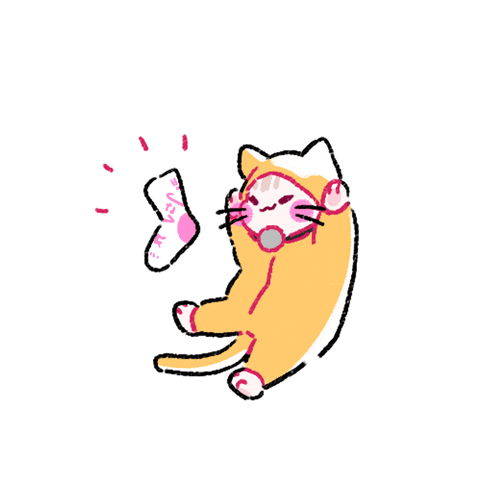 sock cat