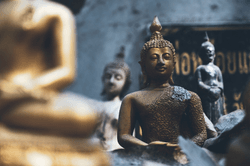 Wisdom of Buddha collection image