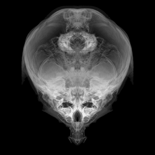 Alien Embryo - 346 of 2000