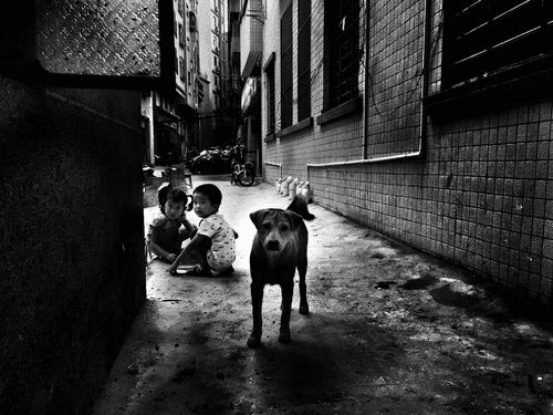  BWChina #156