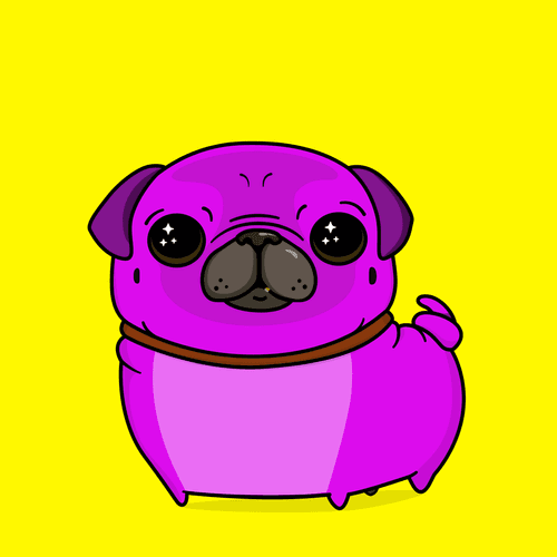 Dito the Pug #21