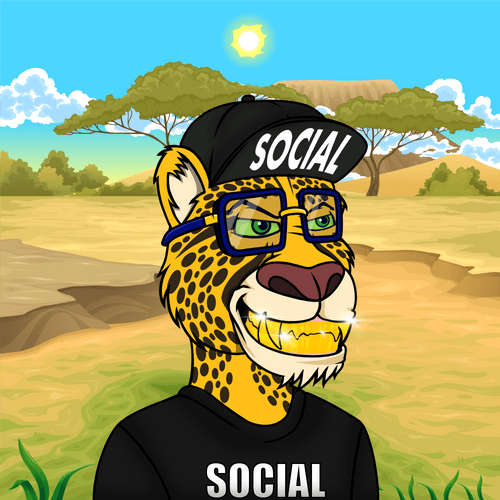 SOCIAL CHEETAHS