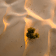 A Line in the Sand