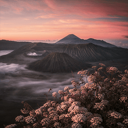 Worlds Unto Themselves Bromo  Ijen Postcards by AJ Duran collection image