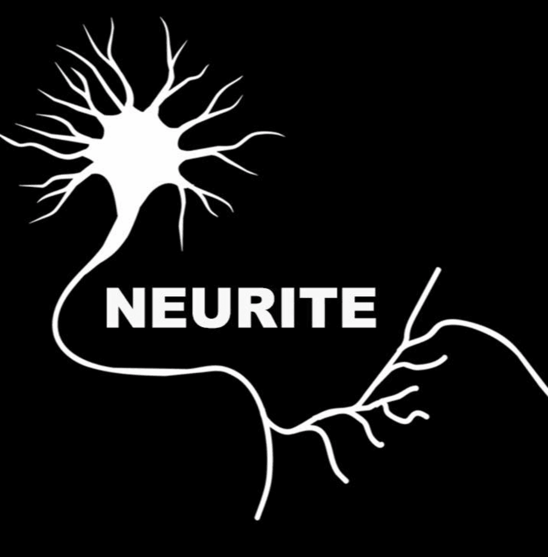Neurite