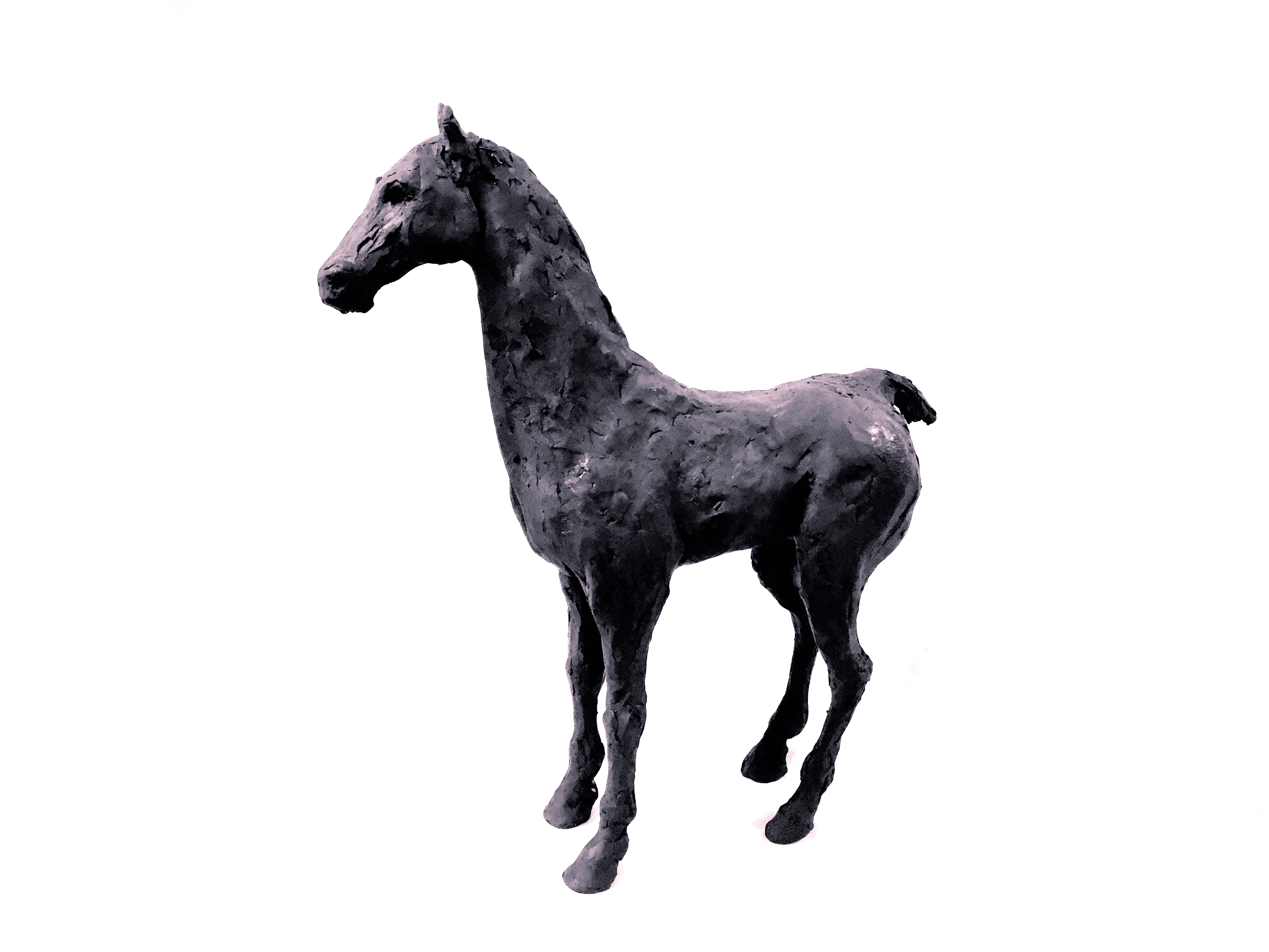 Black Earth Horse II