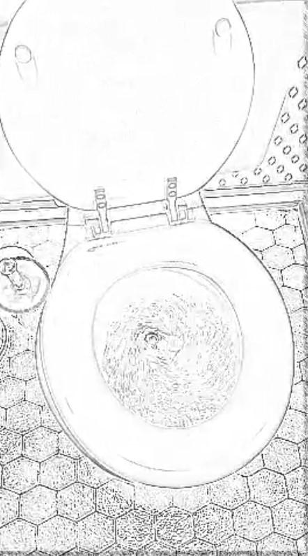 Toilet Art 12-29-2021 by Romero 