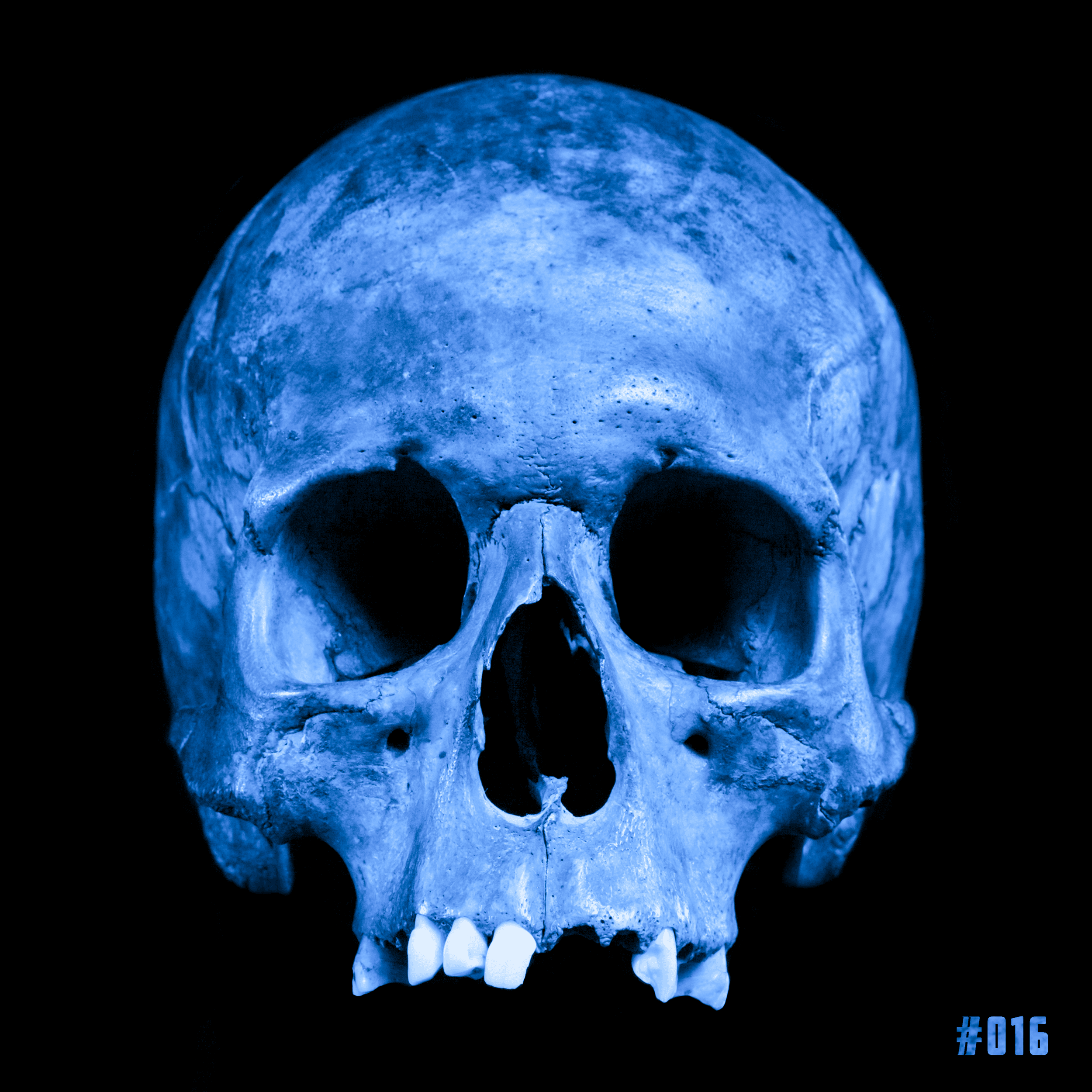 Skulls On ETH #016