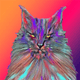 Psychedelic Mr. ViVo